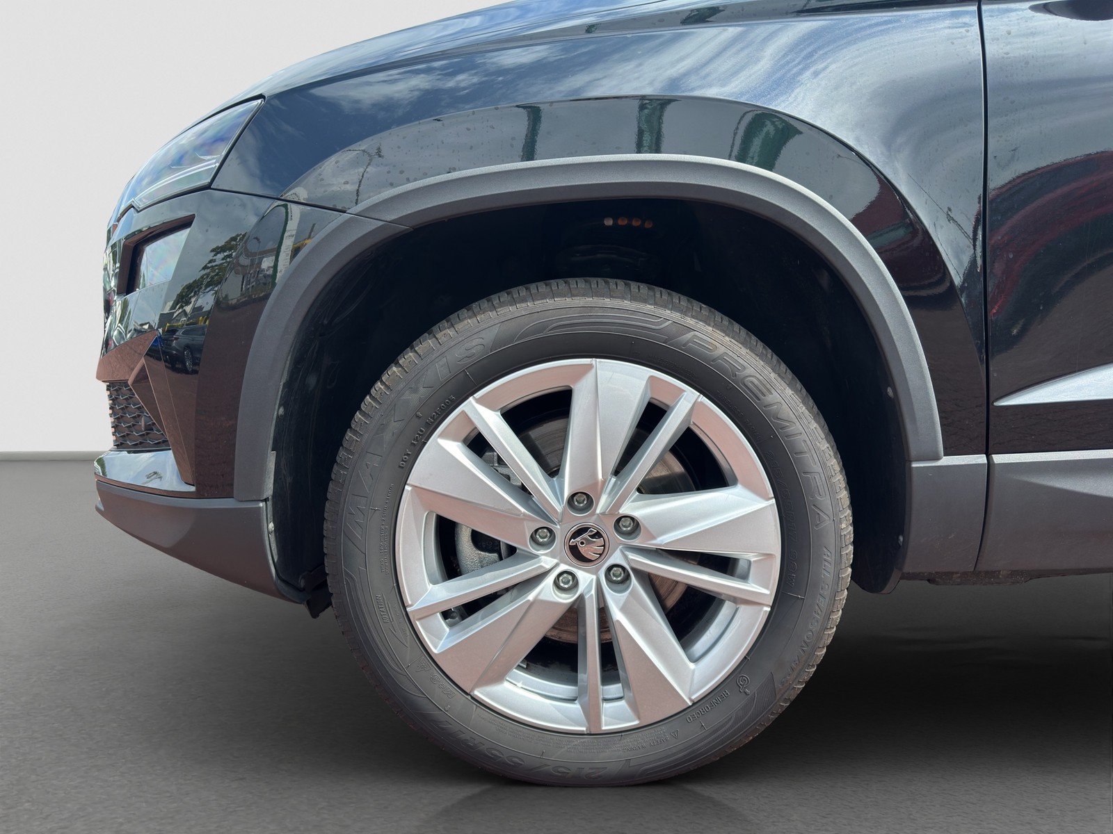 Skoda Karoq 1.5 SELECTION CAM ACC E-KLAPPE NAVI LM17