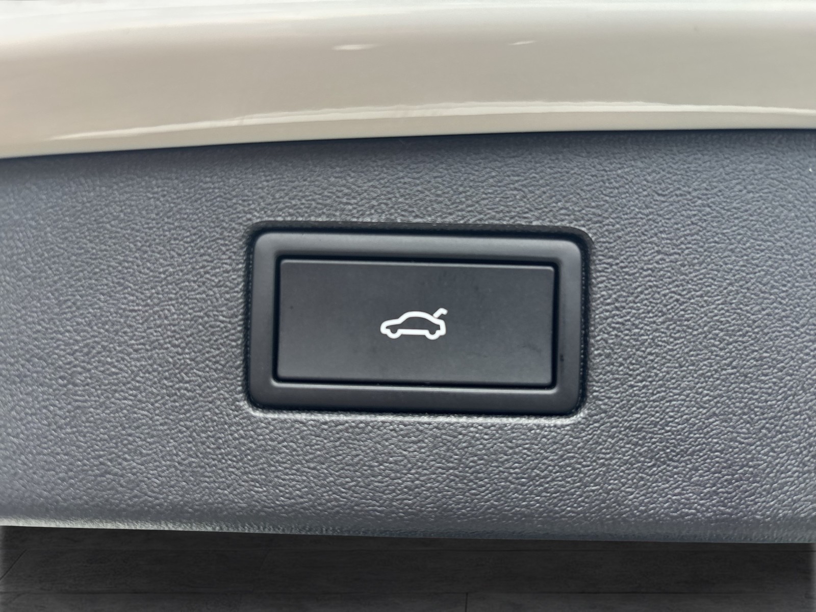 Volkswagen Tiguan 1.5 HYBRID R-LINE PANO AHK 360CAM LM19