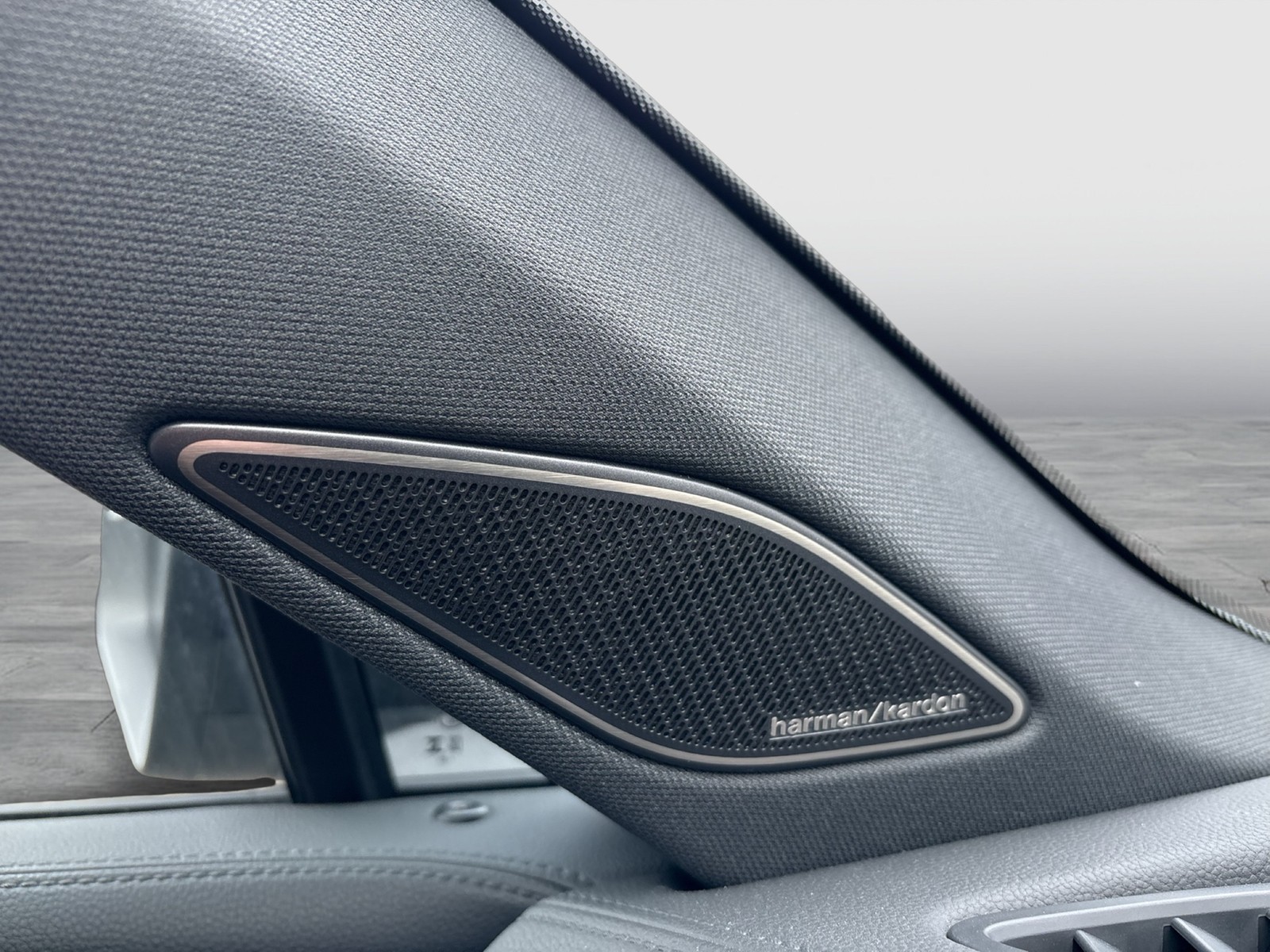 Volkswagen Tiguan 1.5 HYBRID R-LINE PANO AHK 360CAM LM19