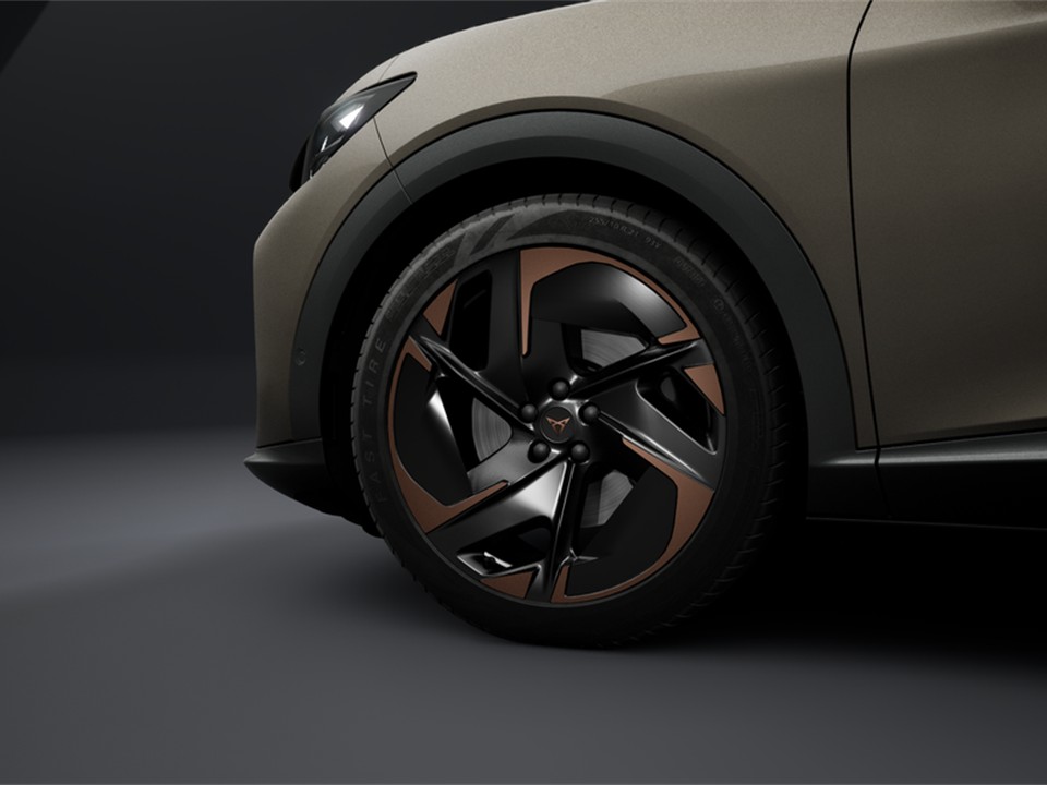 Cupra Tavascan VZ 4DRIVE WÄRMEPUMPE eSITZE PANO LM21