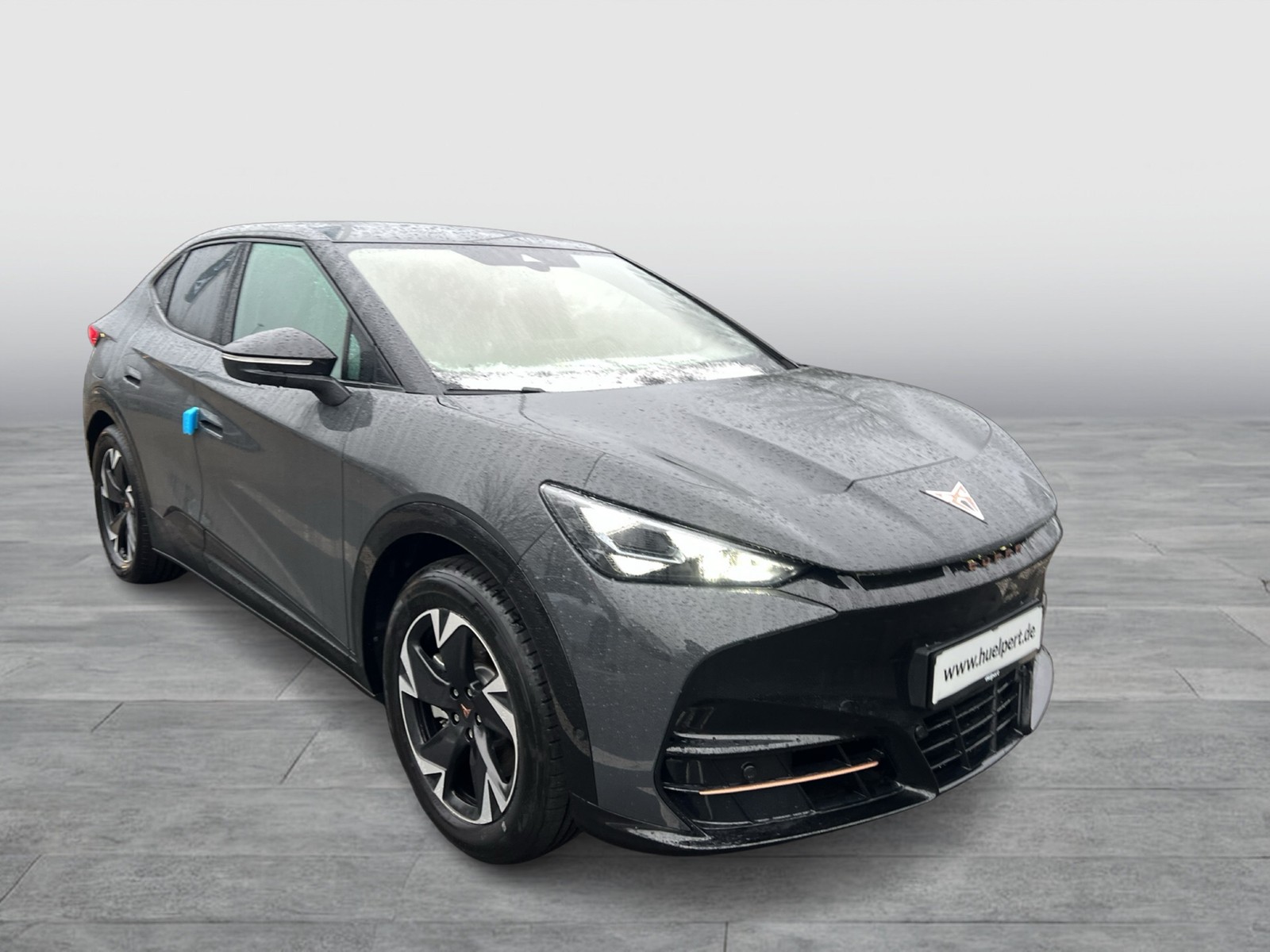 Cupra Tavascan ENDURANCE WÄRMEPUMPE CAM ACC LM19 NAVI