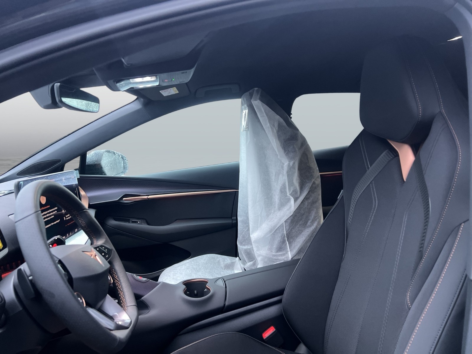 Cupra Tavascan ENDURANCE WÄRMEPUMPE CAM ACC LM19 NAVI