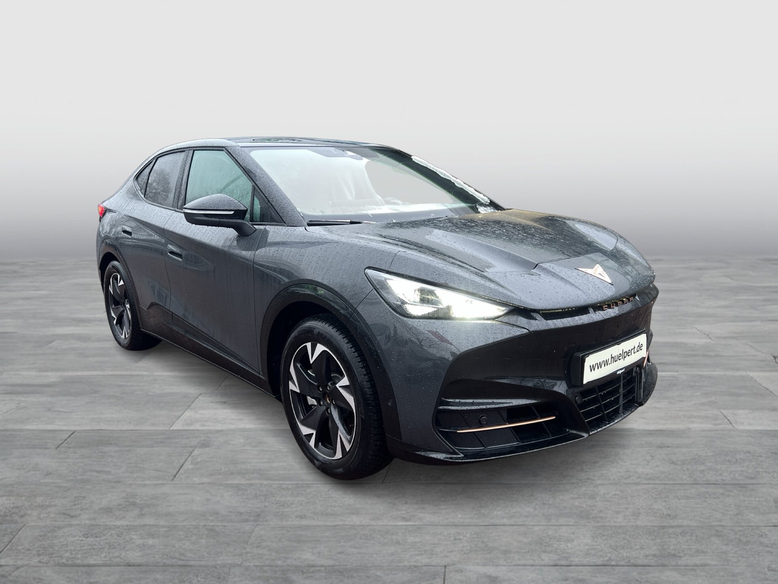 Cupra Tavascan ENDURANCE WÄRMEPUMPE CAM ACC LM19 NAVI