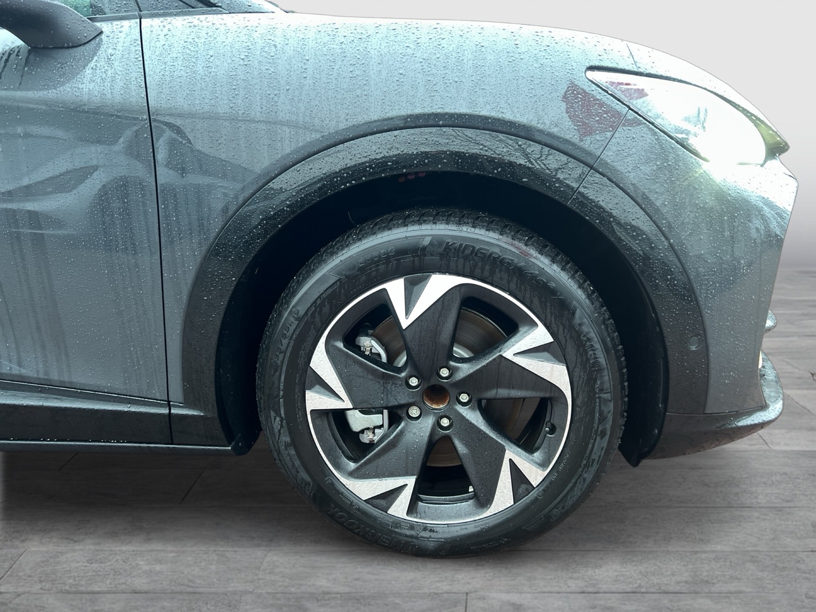 Cupra Tavascan ENDURANCE WÄRMEPUMPE CAM ACC LM19 NAVI