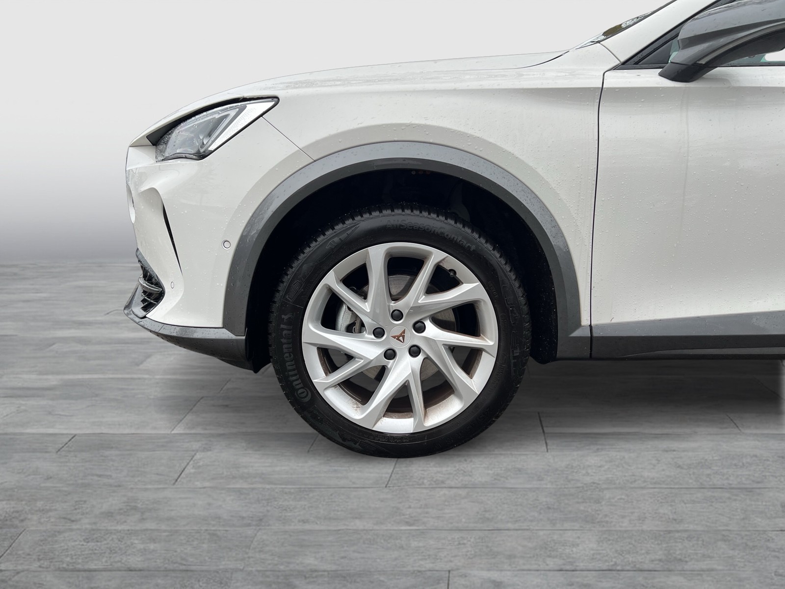 Cupra Formentor 1.5 ACC LM18 PARKLENKASSISTENT LED DAB