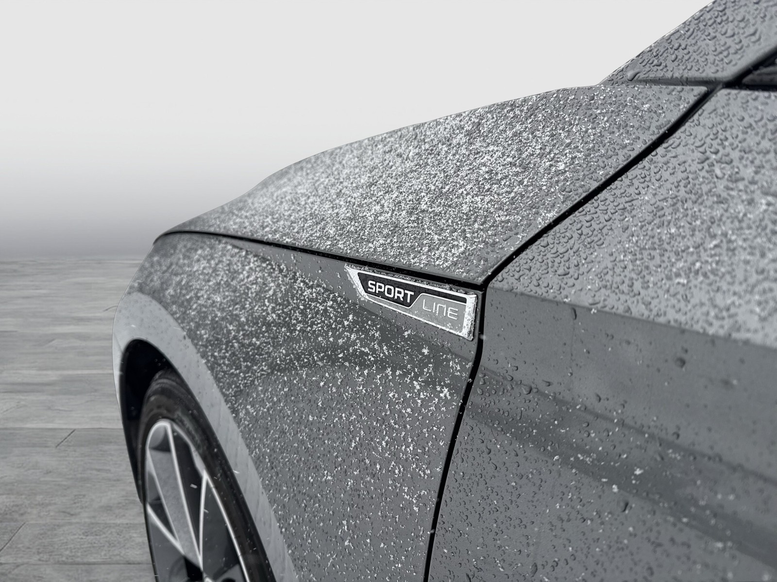 Skoda Superb Combi 2.0 SPORTLINE CANTON CAM ACC LM19