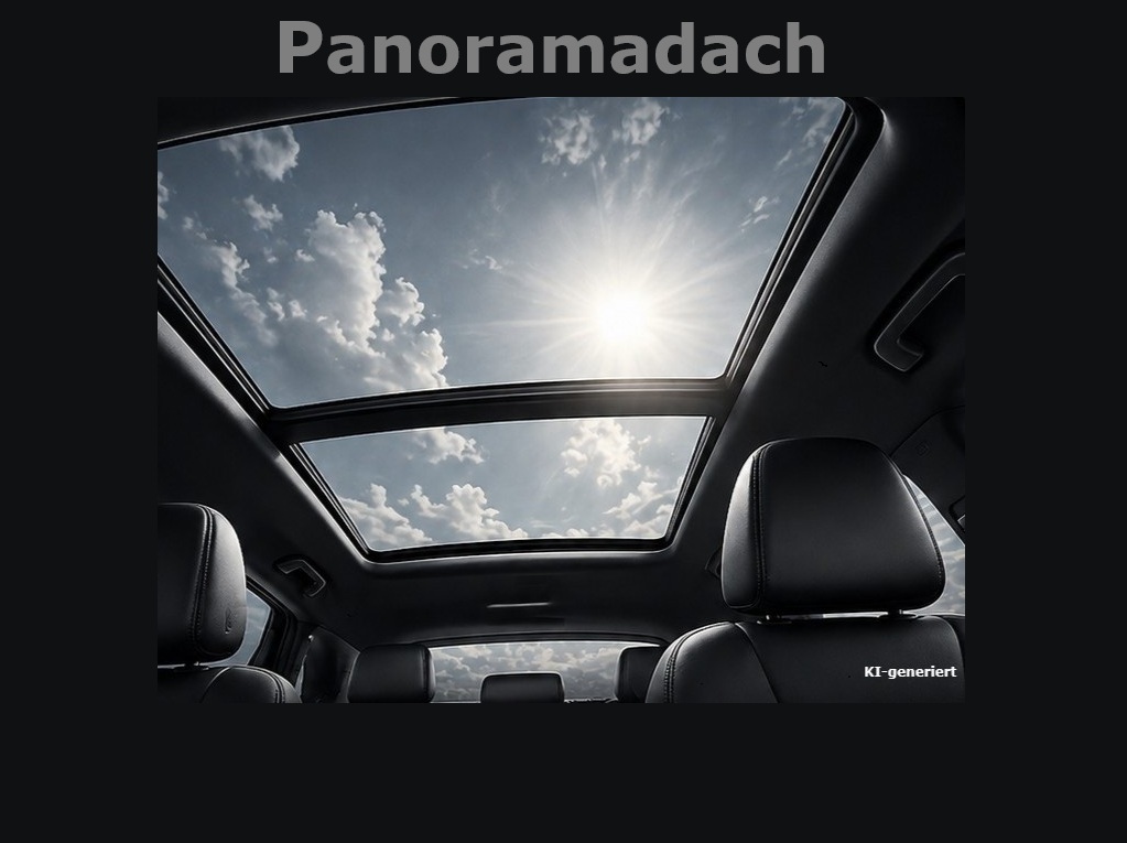 Volkswagen T-Roc 1.5 R-LINE BLACK STYLE PANO BEATS ALU19"