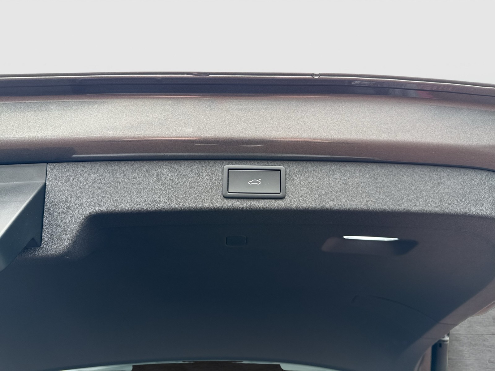 Skoda Enyaq 85x Suite LEDER PANO CANTON AHK LM21