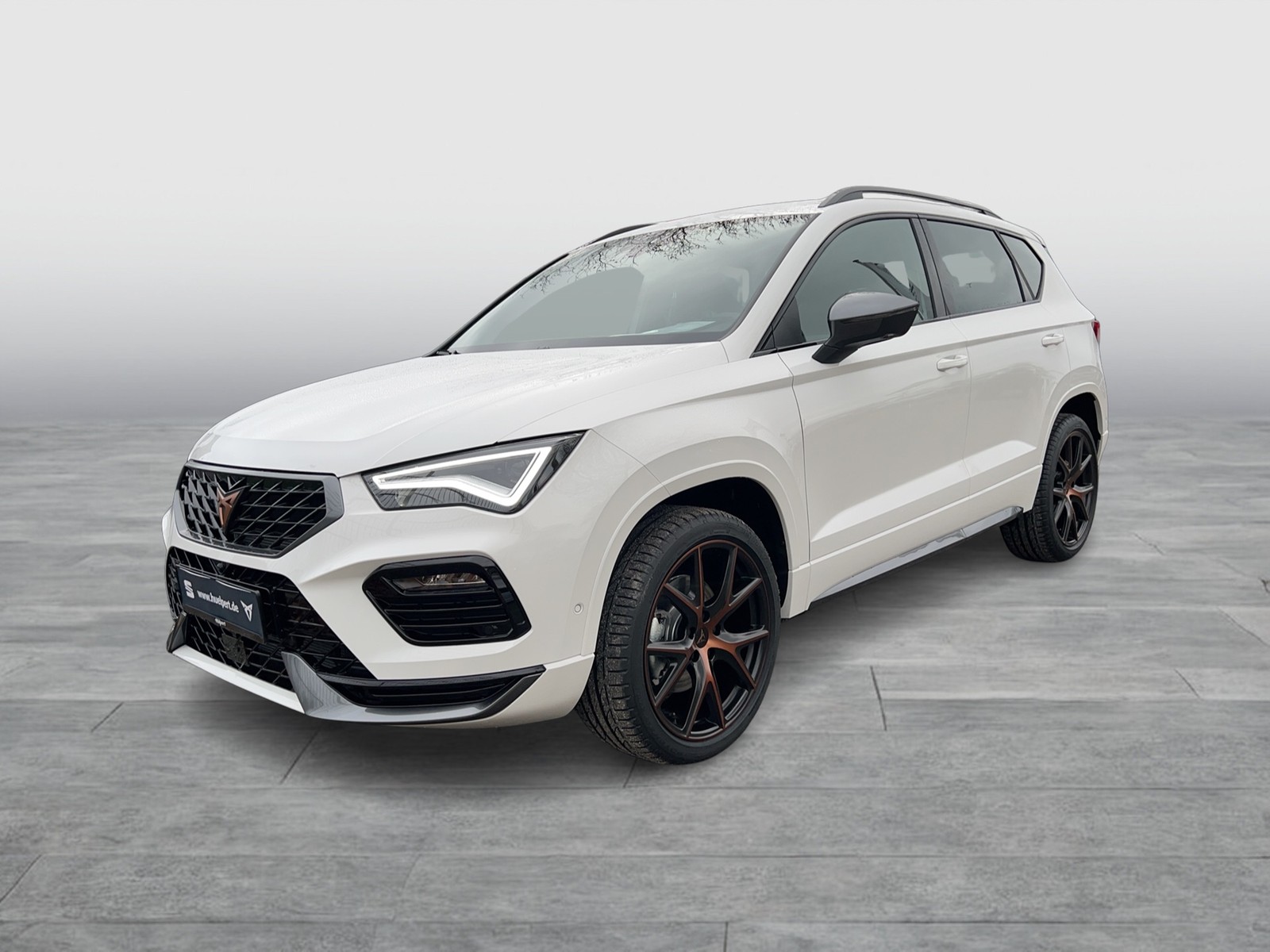 Cupra Ateca 1.5 DSG NAV ACC 19LM E-KLAPPE AREAVIEW