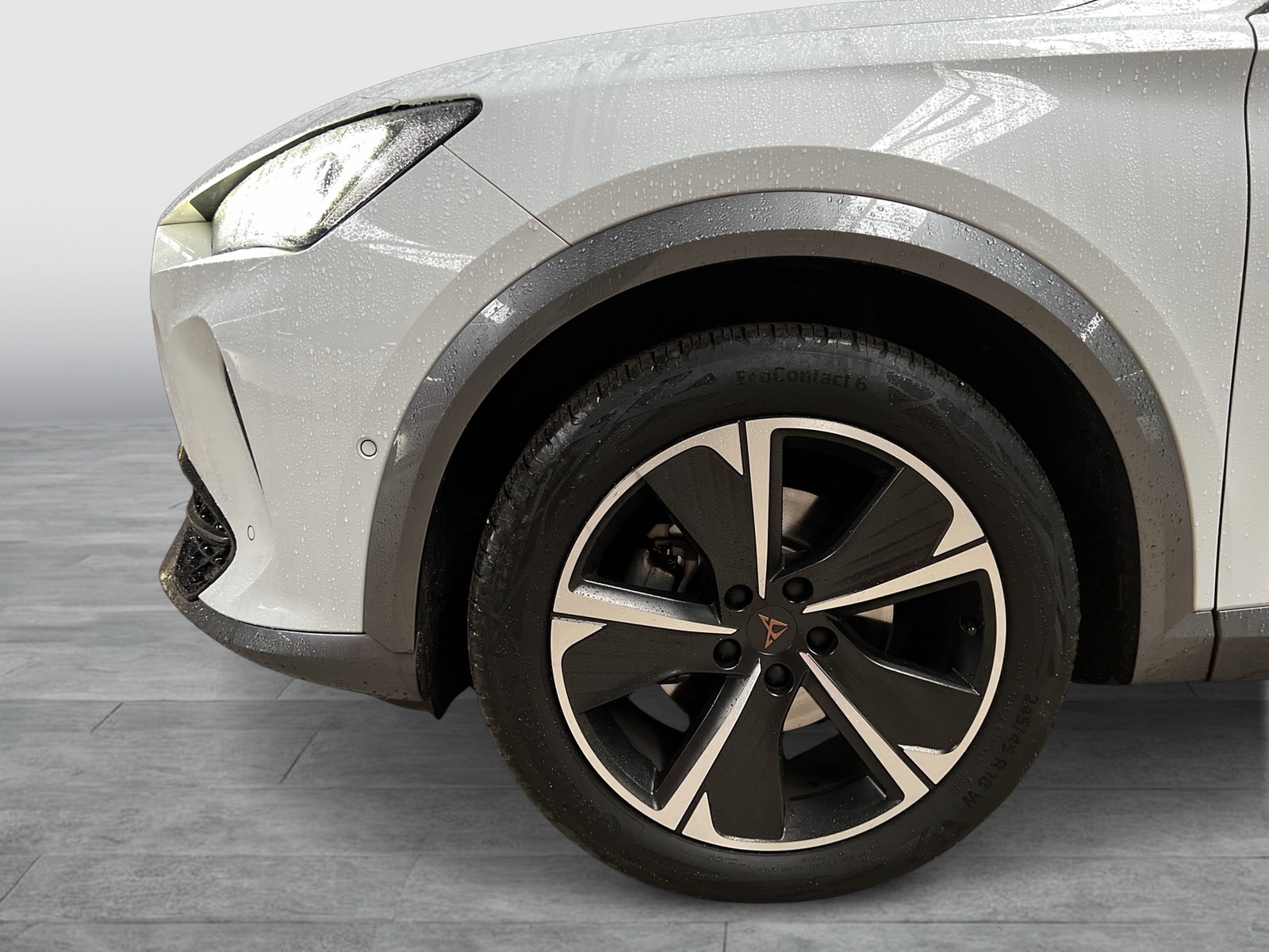 Cupra Formentor 1.5 RS PANO 360°CAM ACC EKLAPPE LM18 NAVI