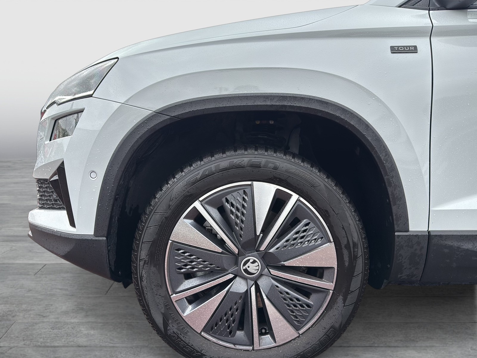 Skoda Karoq 1.5 TOUR PANO AHK 360°CAM ACC EKLAPPE NAVI