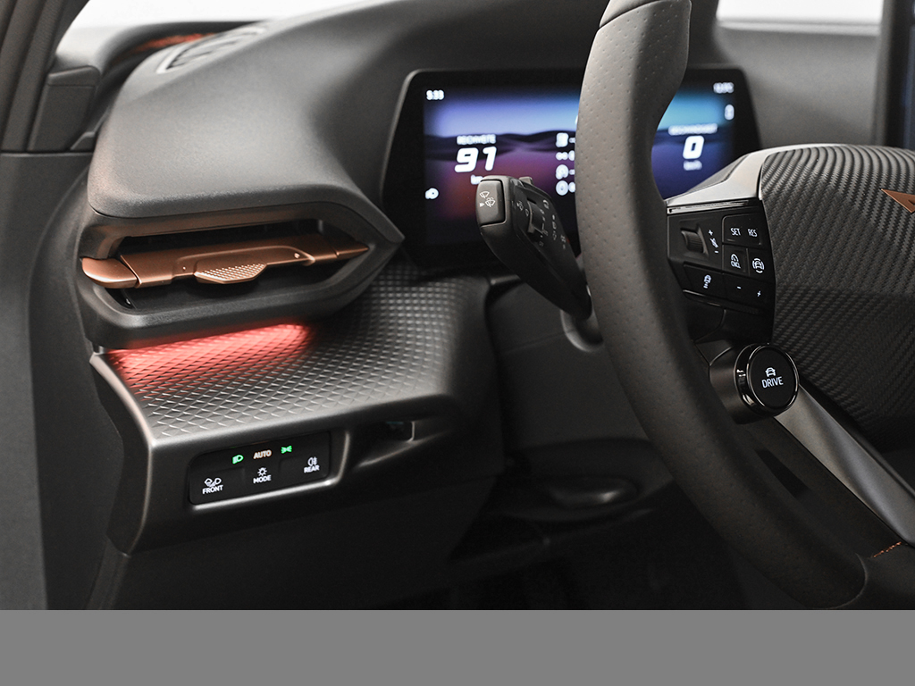 Cupra Raval ENDURANCE EDITION DYNAMIC PLUS NAVI 360CAM