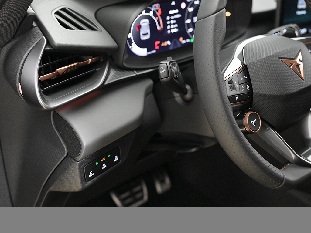 Cupra Terramar 2.0 VZ DSG 4x4 AHK SENNHEISER MATRIXLED