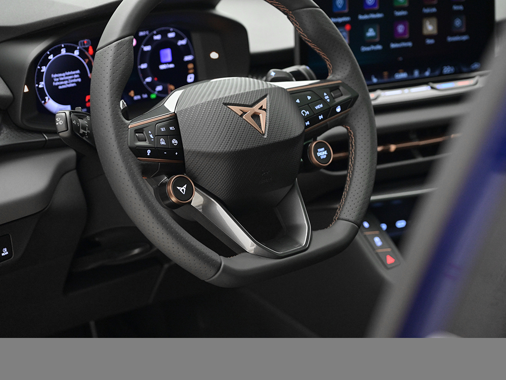 Cupra Terramar 2.0 VZ 4DRIVE AHK SENNHEISER PANO LM20