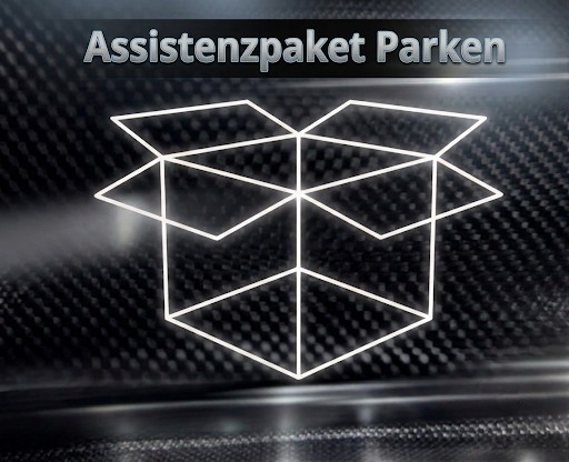 Audi RS 4 Avant Qu. SPORTABGAS LEDER PANO DYNAMIK