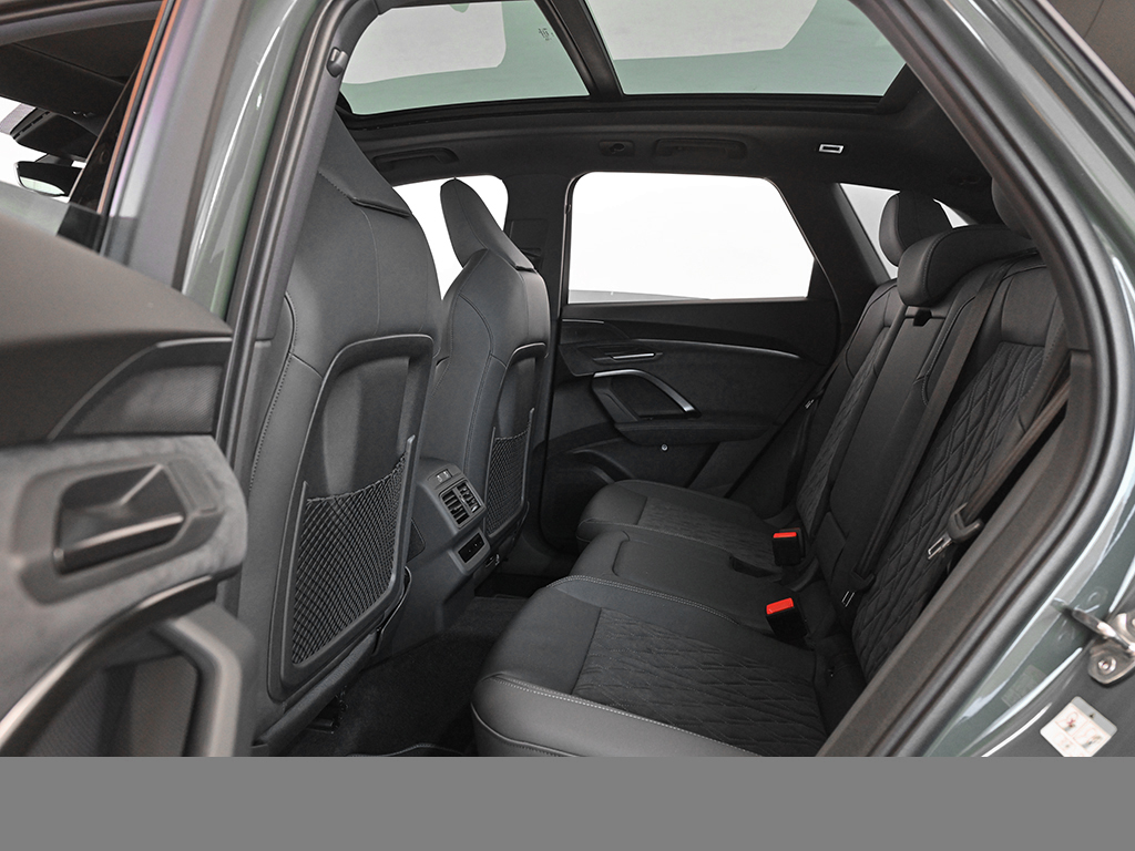 Audi Q5 SUV e-hybrid quattro AHK PANO TECH PLUS LM20
