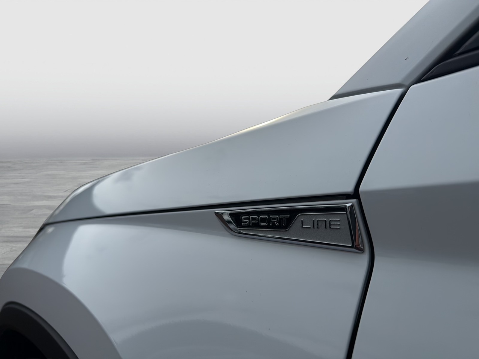 Skoda Kodiaq 2.0 SPORTLINE 4X4 STANDHZ. PANO LM19 NAVI