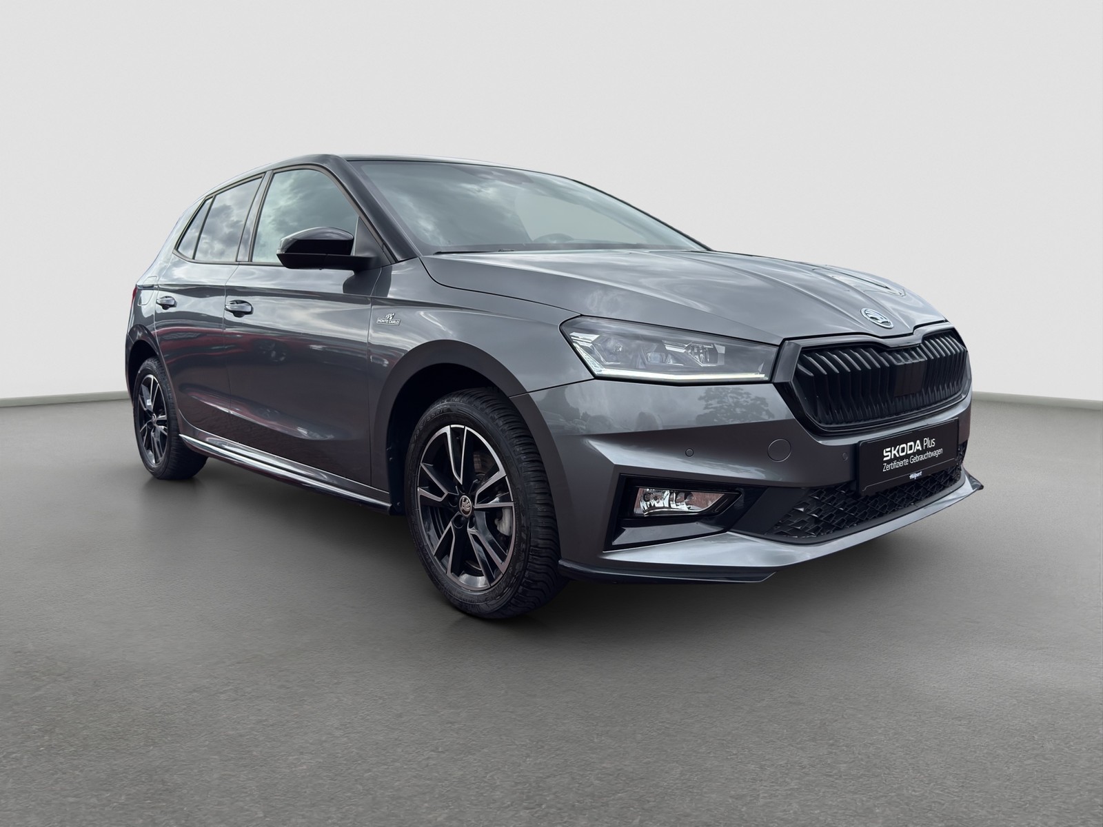 Skoda Fabia 1.0 MONTE CARLO CAM ACC NAVI ALU SITZHEIZ.
