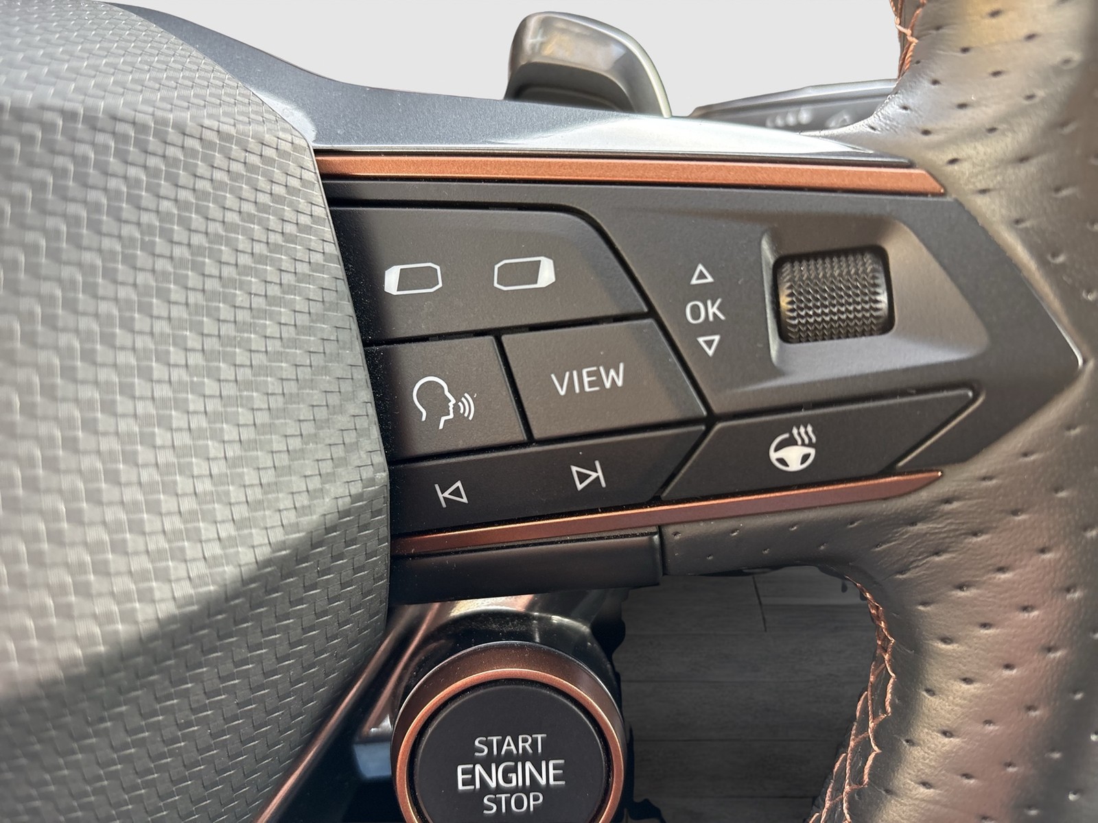 Cupra Leon ST 2.0 VZ 4X4 LEDER PANO AHK CAM ACC LM19