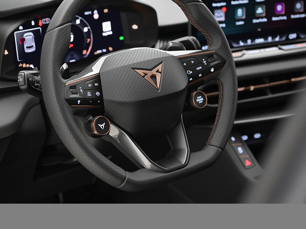 Cupra Terramar eHYBRID VZ MATRIXLED NAVI eKLAPPE LM20