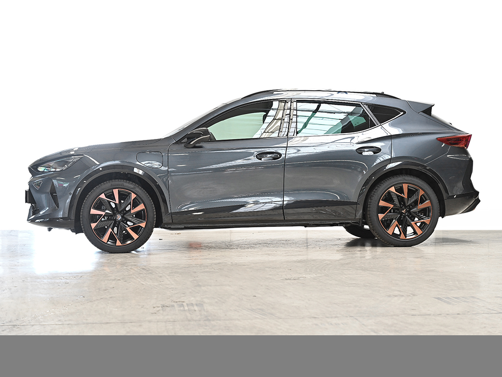 Cupra Formentor 1.5 HYBRID DSG NAV ACC AHK-Vorb. 19LM
