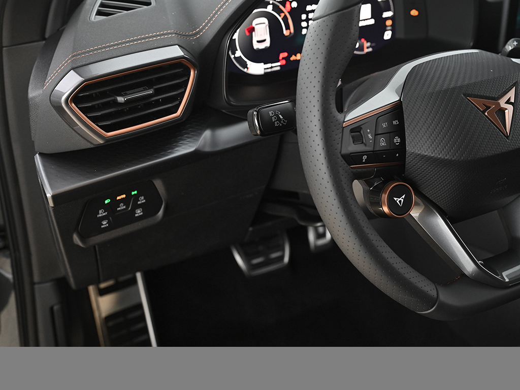 Cupra Formentor 1.5 HYBRID DSG NAV ACC AHK-Vorb. 19LM