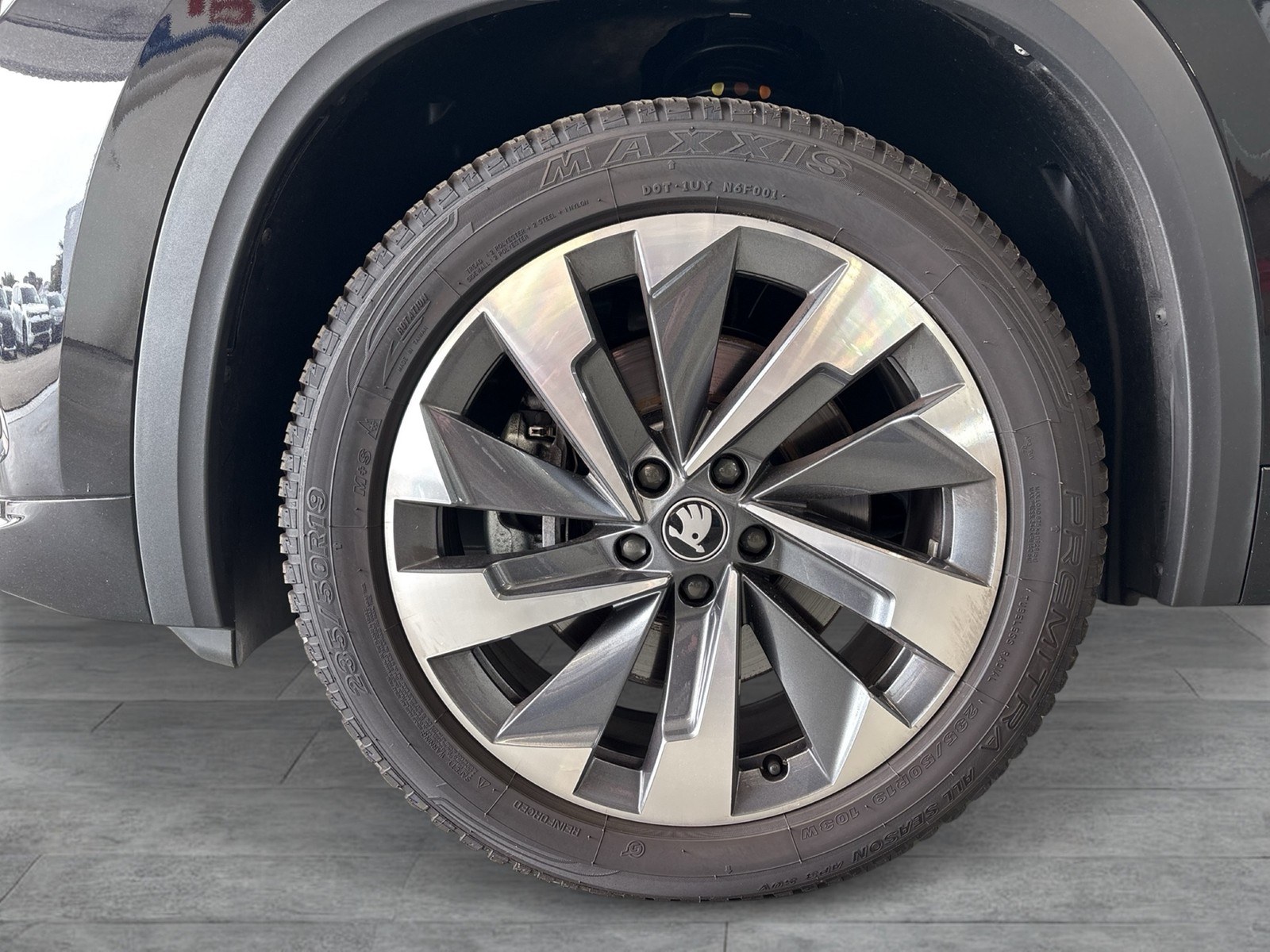 Skoda Kodiaq 2.0 SPORTLINE 4X4 STANDHZ. AHK CAM LM19