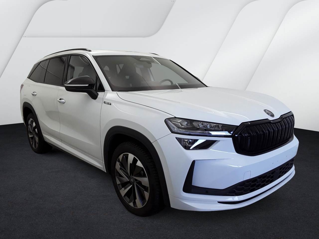 Skoda Kodiaq 2.0 SPORTLINE 4X4 STANDHZ. AHK CAM LM19