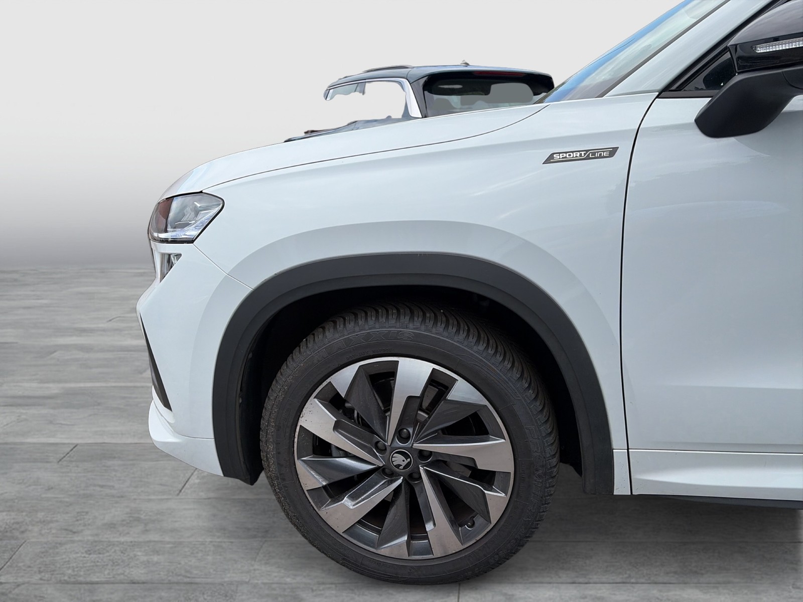 Skoda Kodiaq 2.0 SPORTLINE 4X4 STANDHZ. AHK CAM LM19