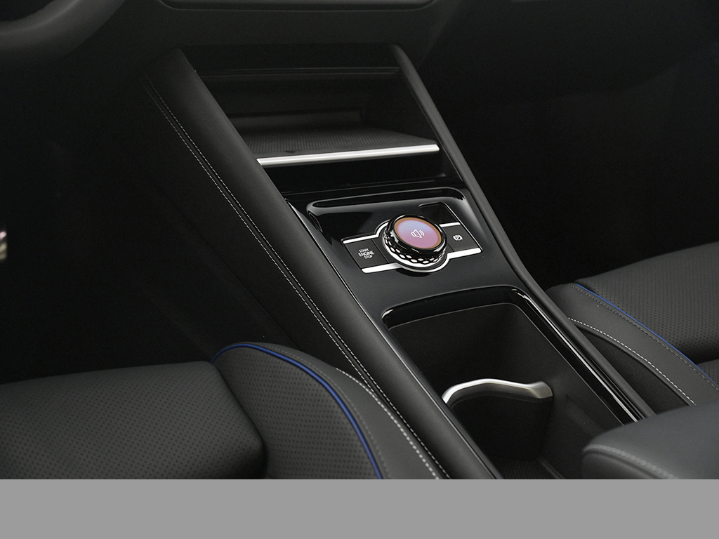 Volkswagen Tiguan 2.0 R-LINE DSG 4X4 LEDER STANDHZG eSITZE