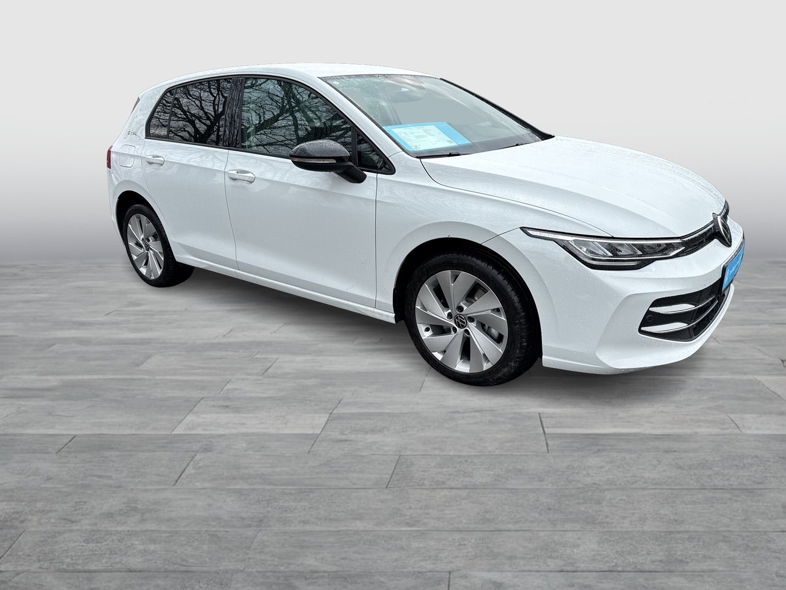 Volkswagen Golf VIII 1.5 HYBRID GOAL FACELIFT ACC CARPLAY
