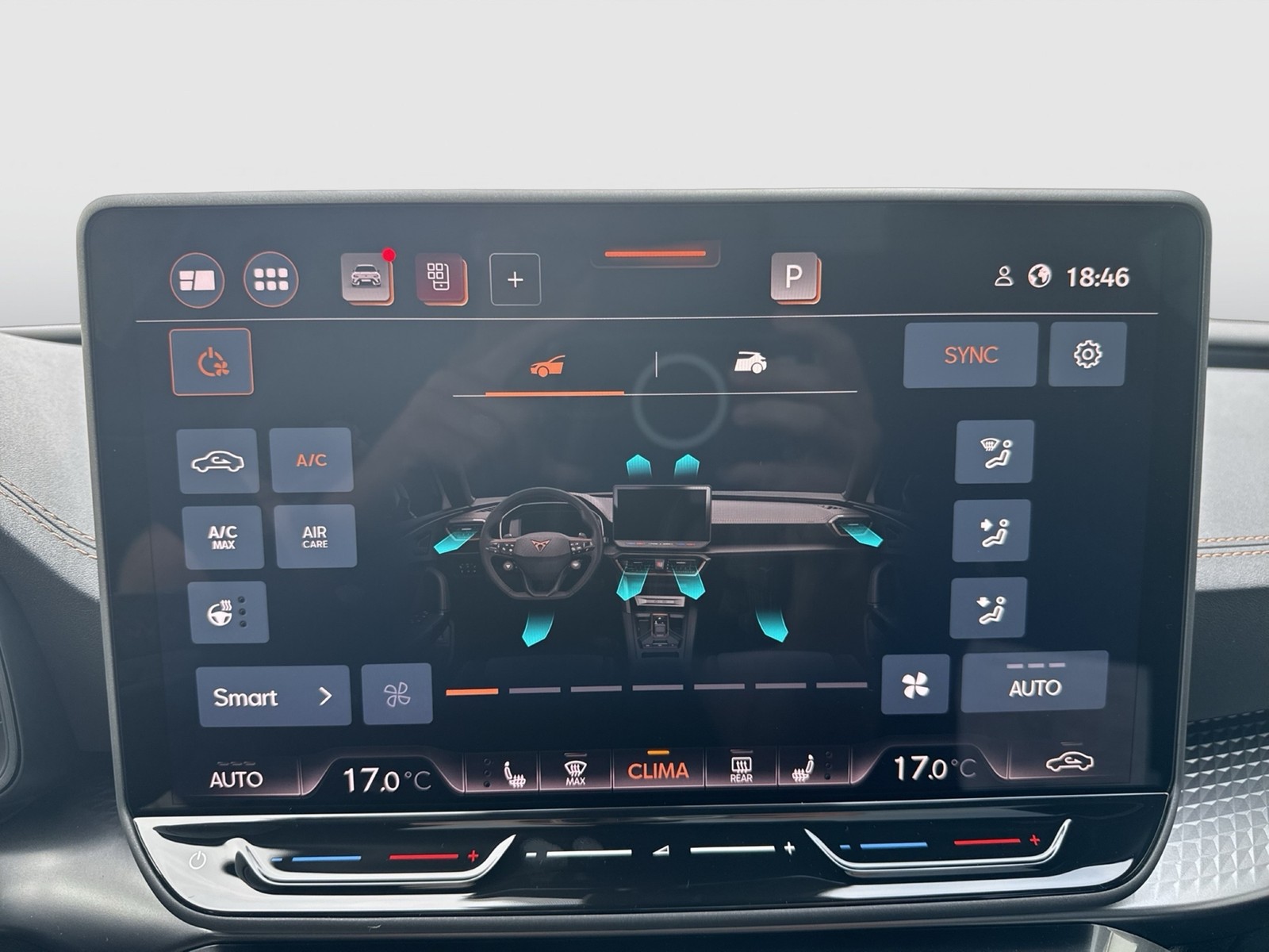 Cupra Leon ST 2.0 VZ 4X4 PANO SENNHEISER AHK CAM LM19