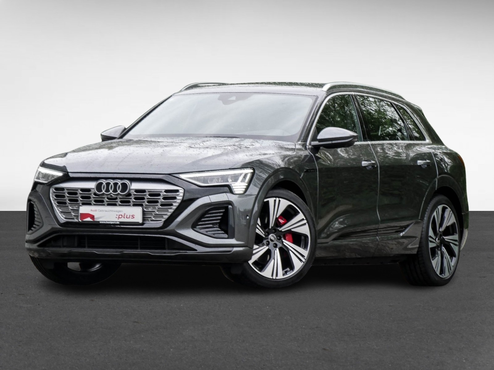 Audi Q8 e-tron 55 quattro S LINE NAVI+ MATRIXLED LM22