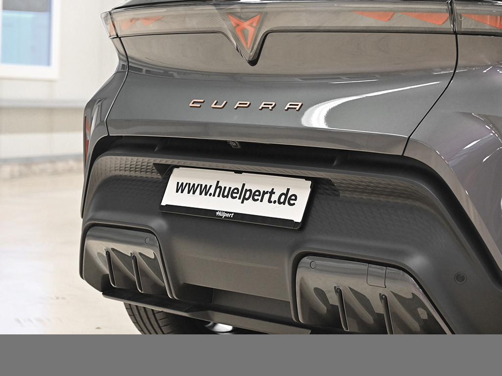 Cupra Raval ENDURANCE EDITION DYNAMIC PLUS NAVI 360CAM