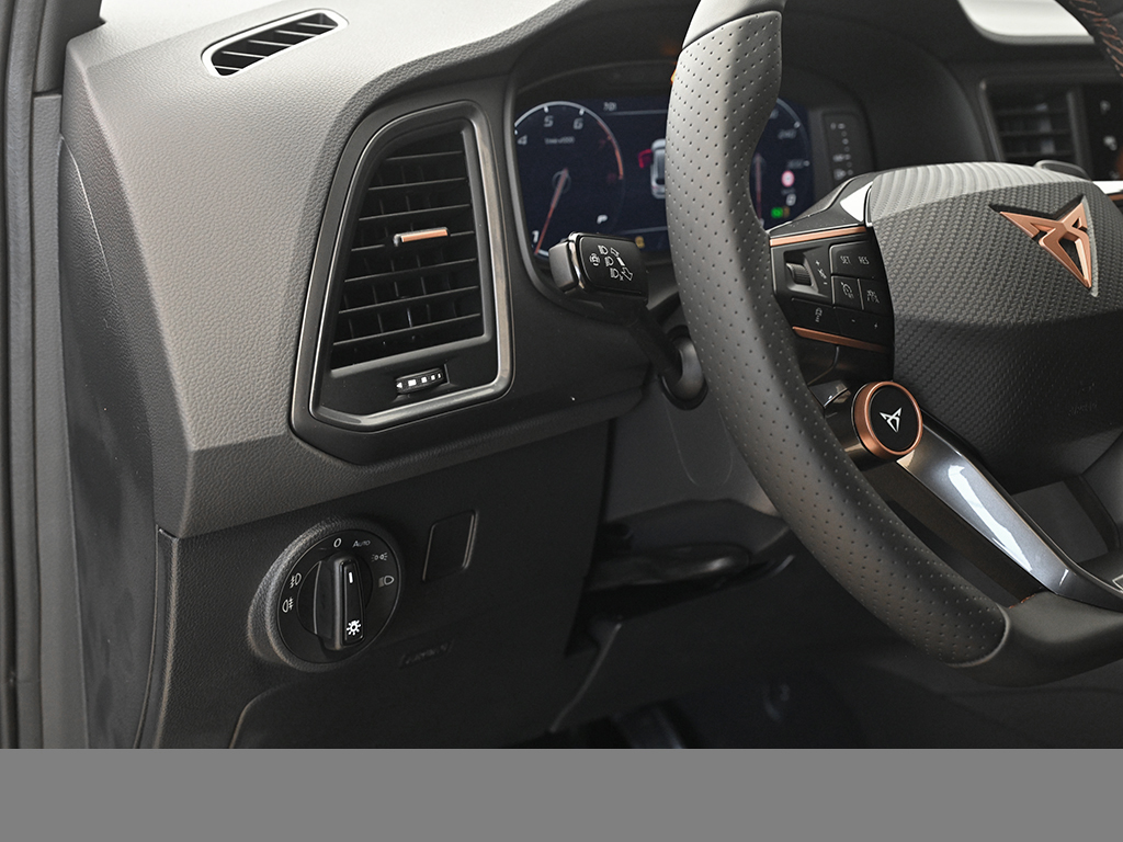 Cupra Ateca 2.0 VZ DSG 4DRIVE eKLAPPE 360CAM KEYLESS