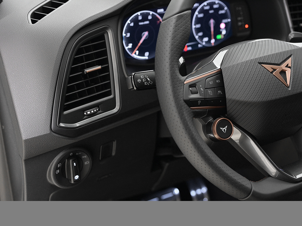 Cupra Ateca 2.0 VZ DSG 4DRIVE eKLAPPE LM20 360CAM NAVI