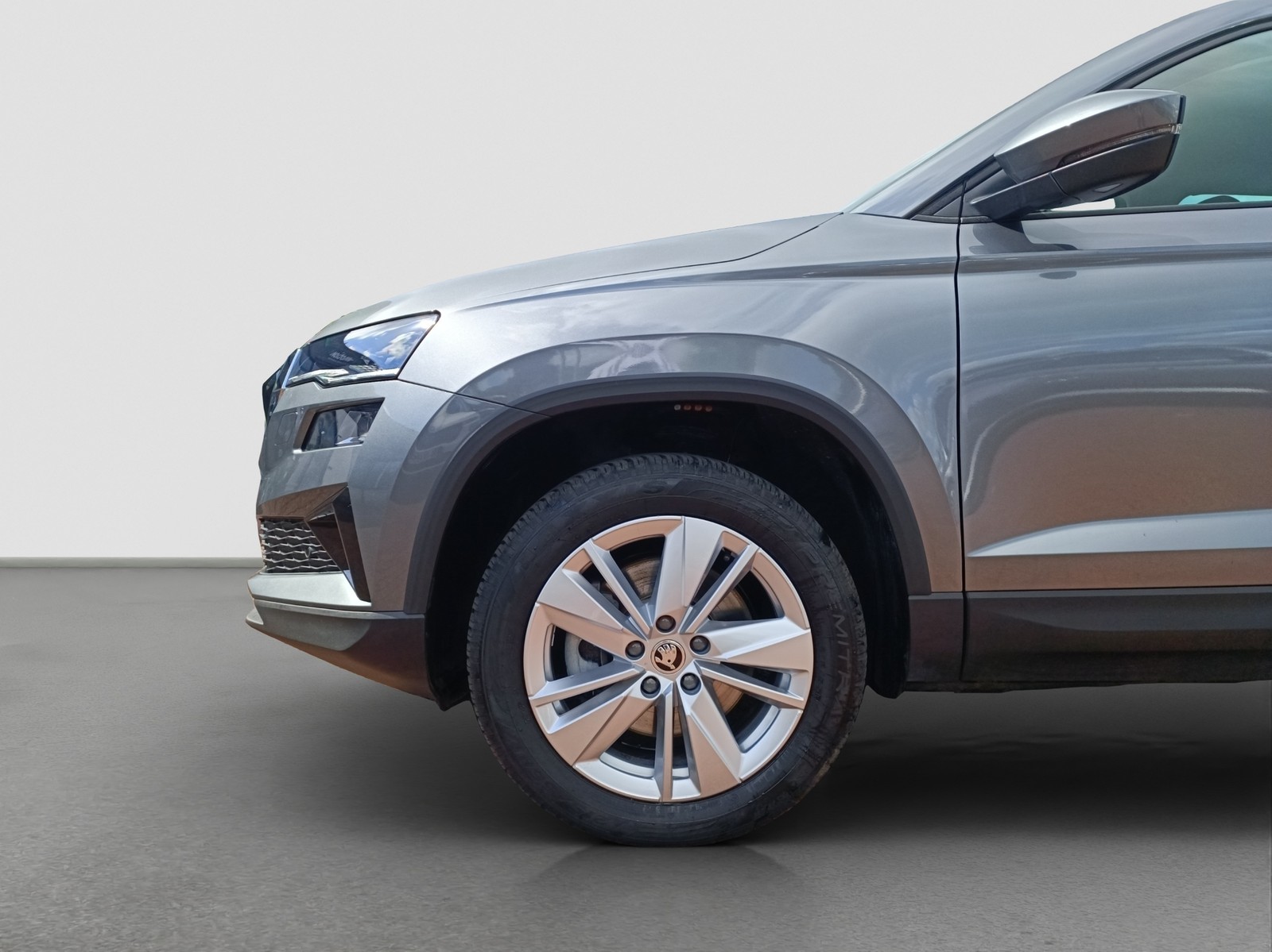Skoda Karoq 1.5 SELECTION AHK CAM EKLAPPE NAVICOLUMBUS