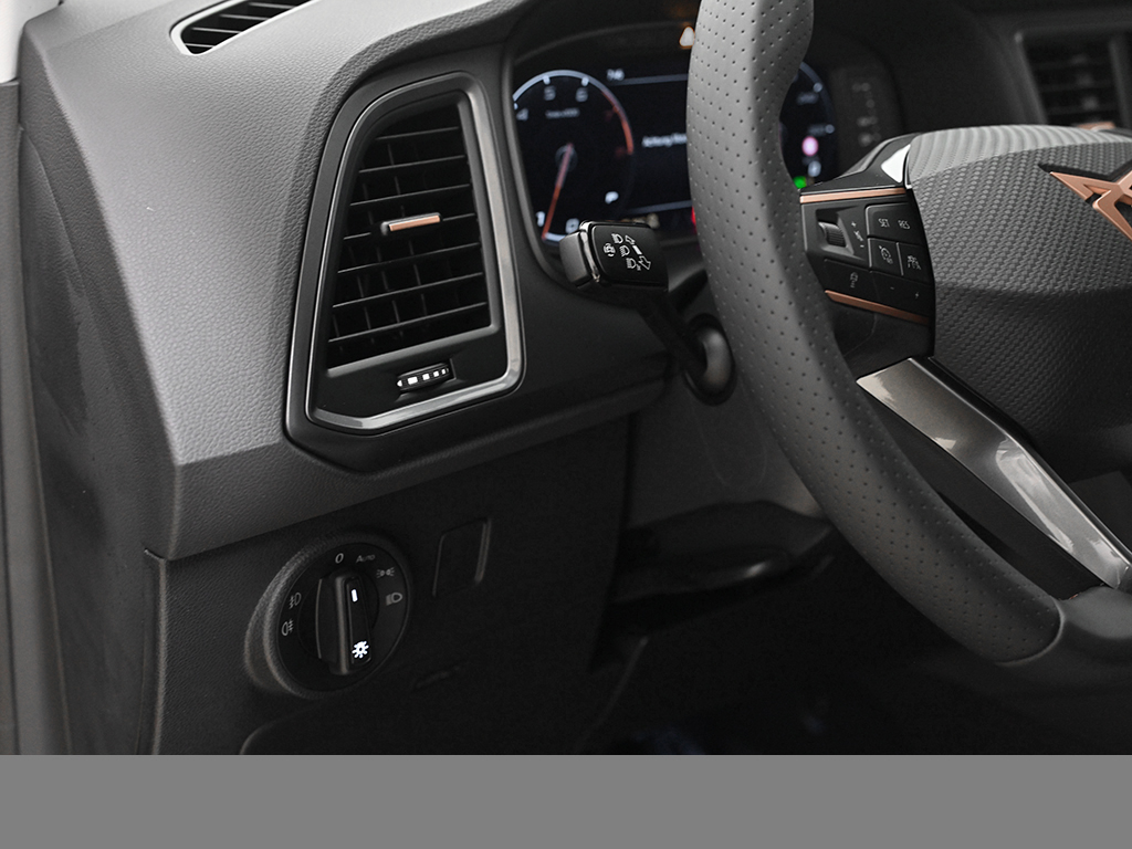 Cupra Ateca 1.5 TRIBE EDITION DSG AHK eKLAPPE 360CAM