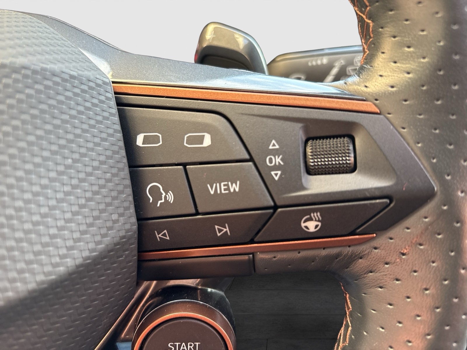 Cupra Formentor 2.5 VZ5 4X4 LEDER BEATS 360°CAM LM20