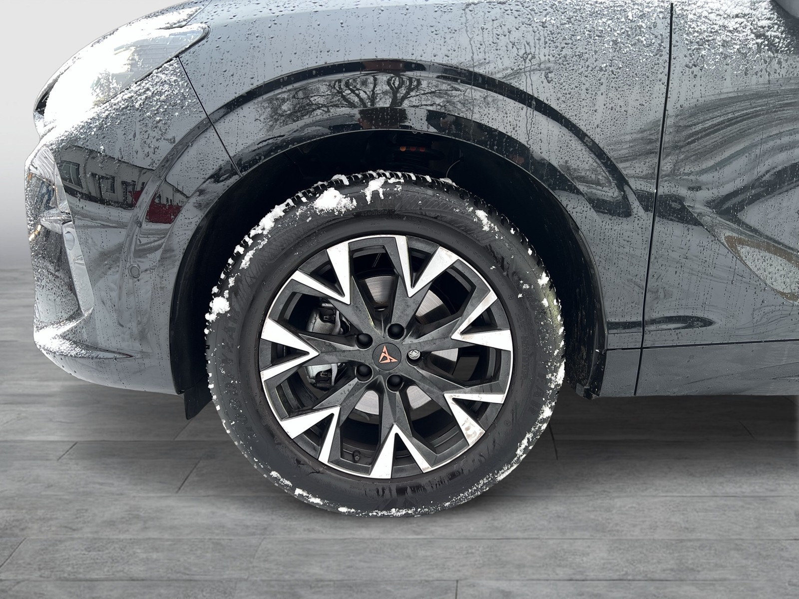 Cupra Terramar 1.5 eTSI 360CAM ACC LM18 HEADUP EKLAPPE