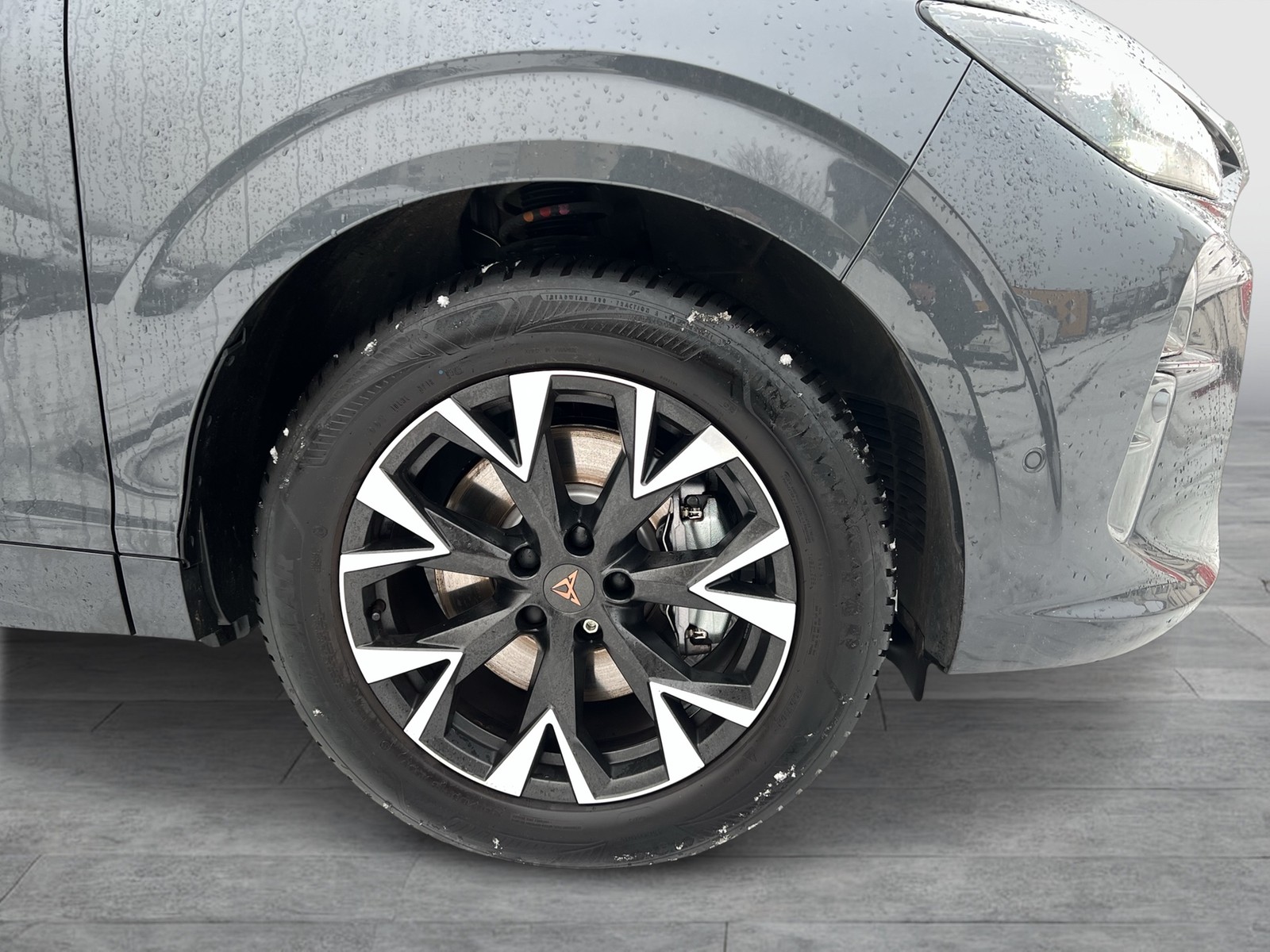 Cupra Terramar 1.5 HYBRID 360°CAM HEAD-UP ACC E-KLAPPE