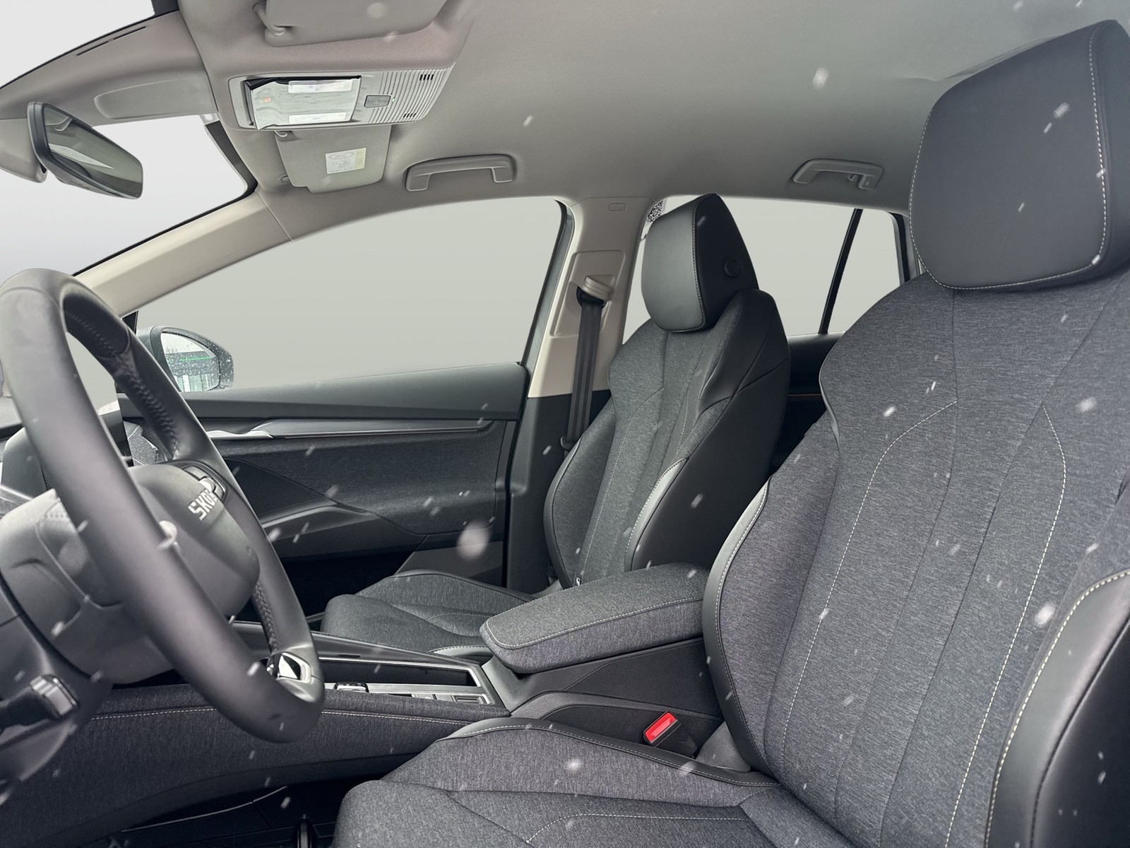 Skoda Elroq 85 LOFT WÄRMEPUMPE AHK CAM ACC LM19 NAVI