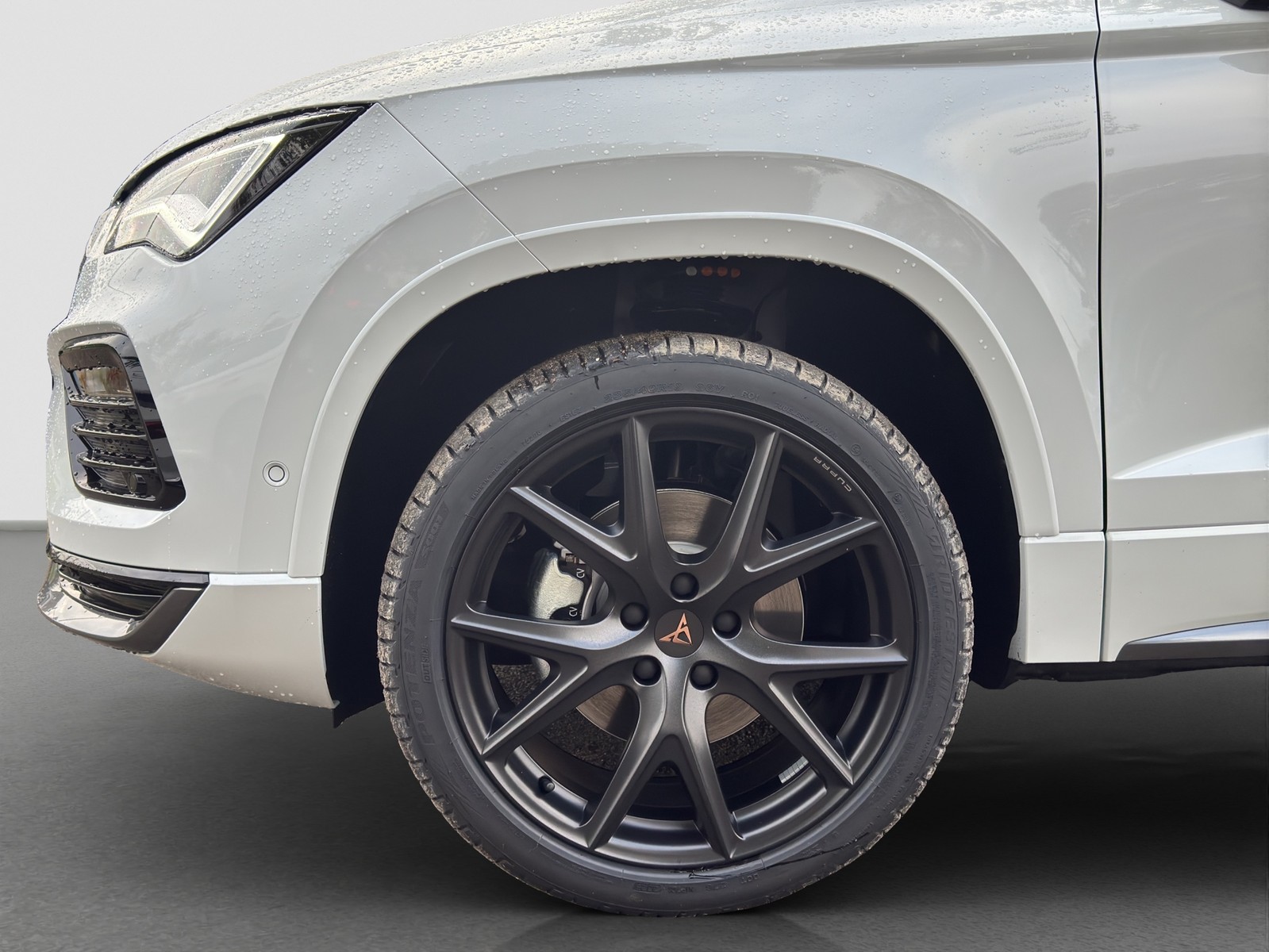 Cupra Ateca 1.5 DSG AHK PANO eKLAPPE CAM LM19 NAVI