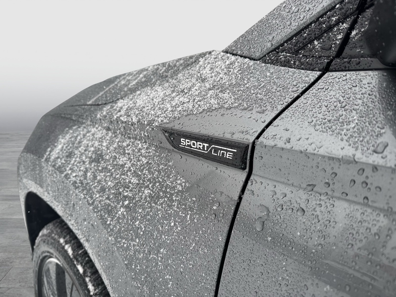 Skoda Karoq 2.0 SPORTLINE 4X4 AHK 360°CAM ACC E-KLAPPE