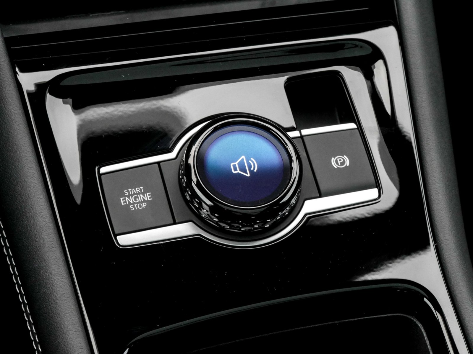 Volkswagen Tiguan 2.0 TDI R-LINE DSG AHK PANO STDHZG