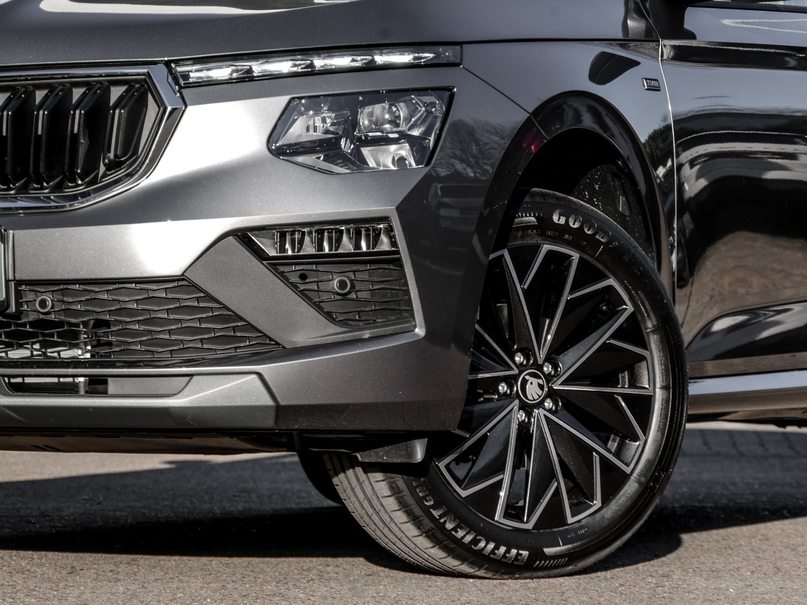 Skoda Kamiq 1.0TSI DSG Tour ACC PDC RFK SHZ