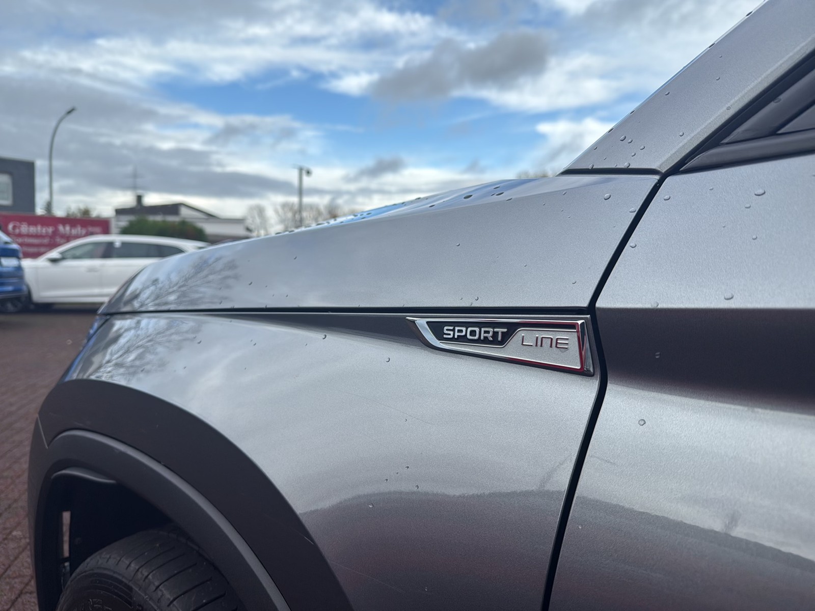 Skoda Kodiaq 2.0 SPORTLINE 4X4 PANO STANDHZ. LM20 NAVI