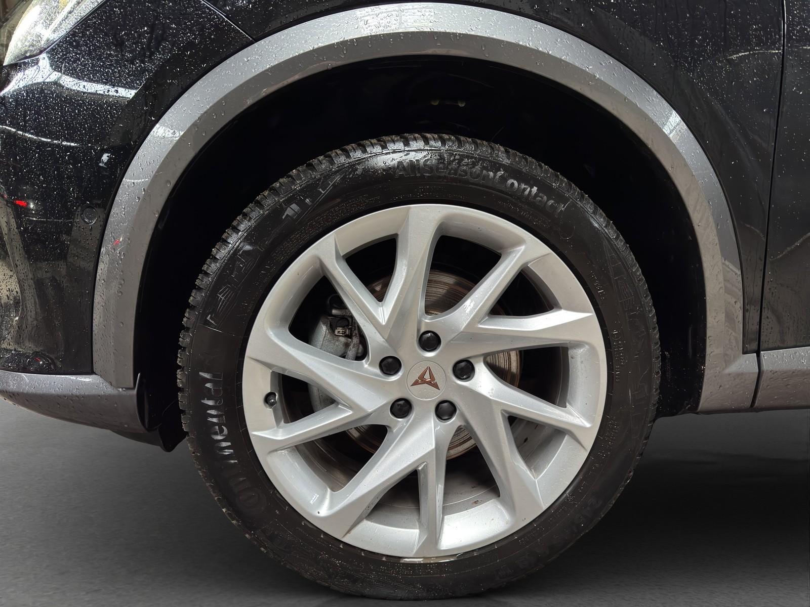 Cupra Formentor 1.5 BEATS 360°CAM ACC LM18 NAVI SITZHZ