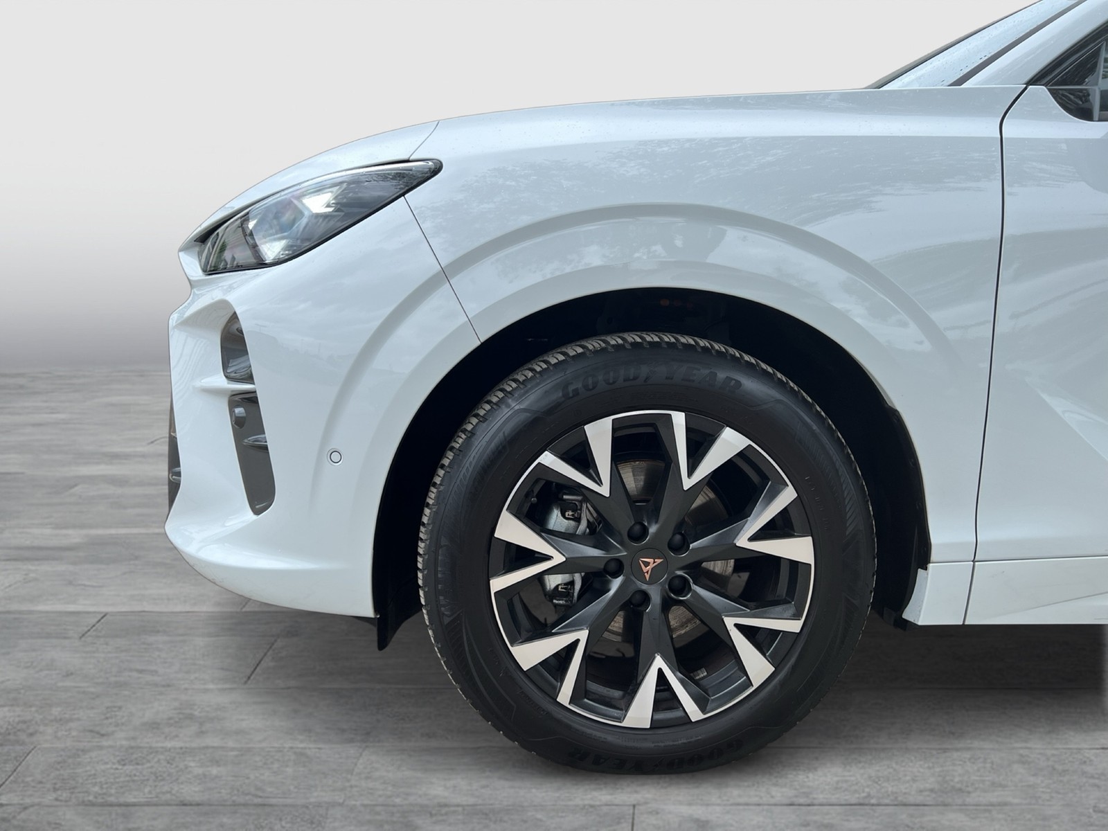 Cupra Terramar 1.5 eTSI 360°CAM ACC LM18 E-KLAPPE NAVI