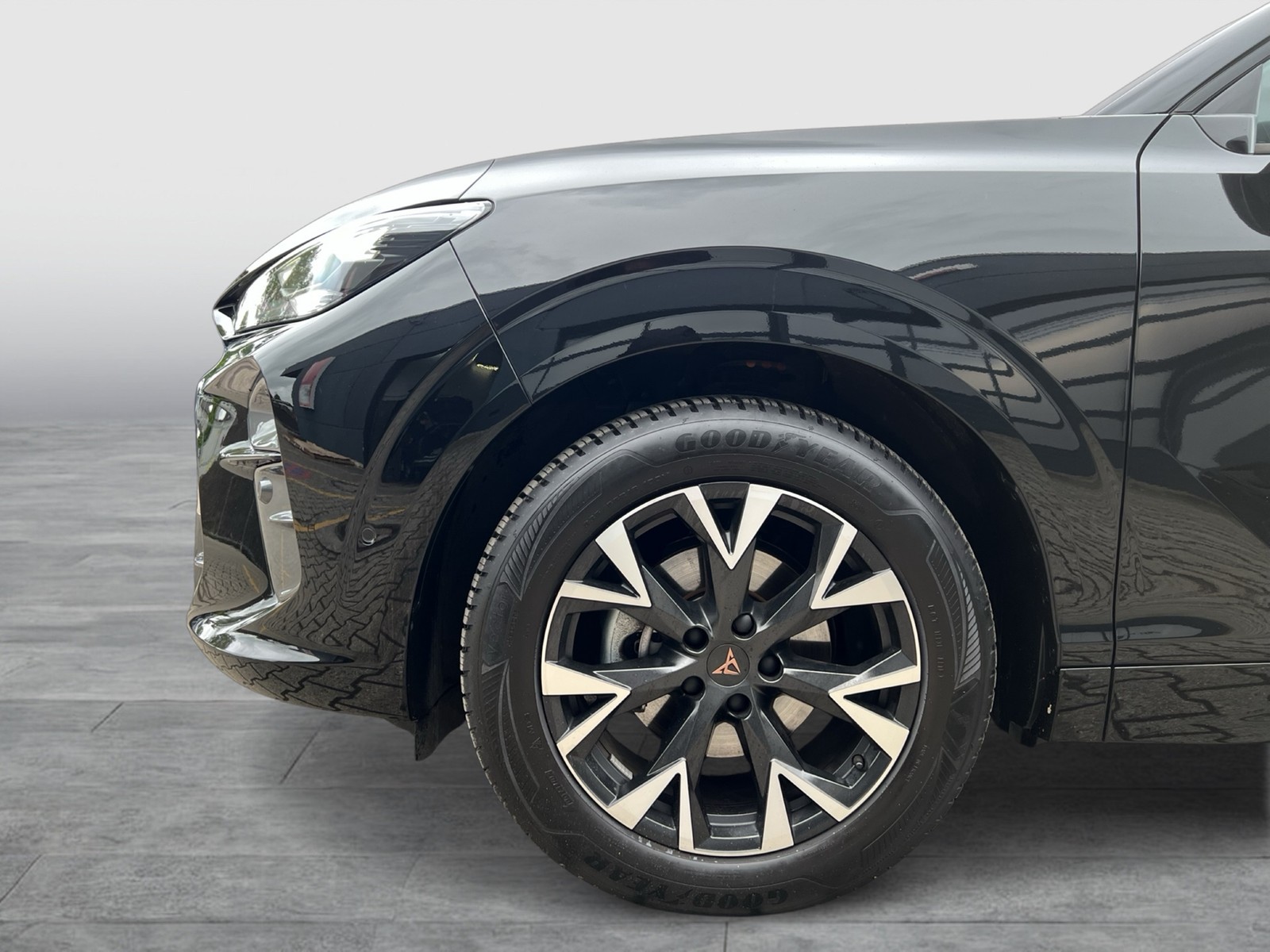 Cupra Terramar 1.5 eTSI 360°CAM ACC LM18 E-KLAPPE NAVI